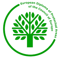 logo diploma
